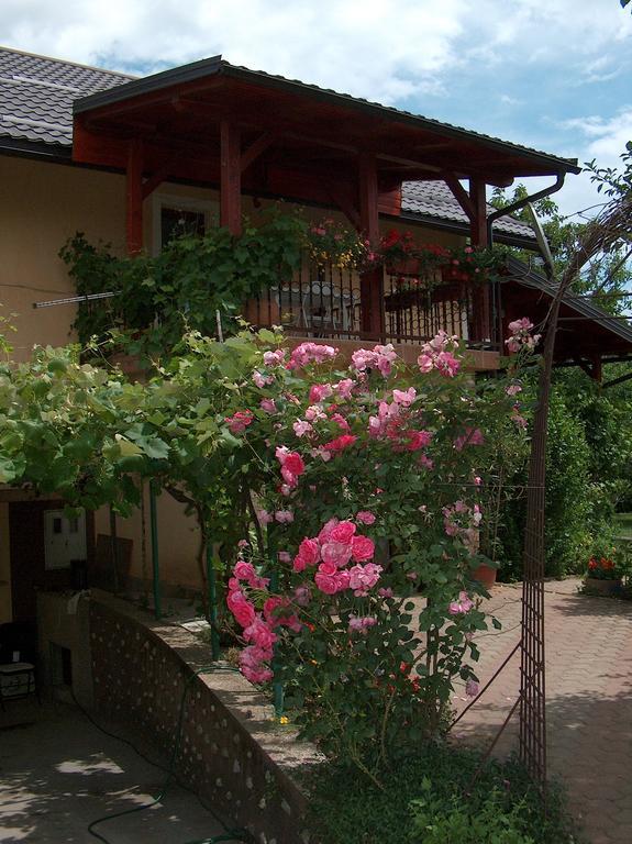Apartments Ana Smoljanac Exterior foto